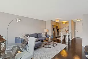 1555 N Sandburg Terrace, Chicago, IL 60610 - Photo 9