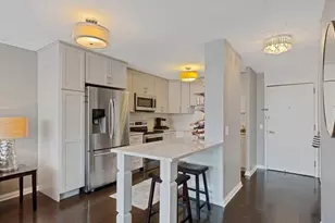 1555 N Sandburg Terrace, Chicago, IL 60610 - Photo 3
