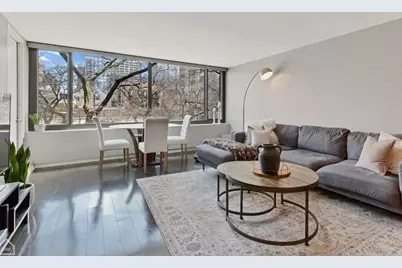 1555 N Sandburg Terrace #310K, Chicago, IL 60610 - Photo 7
