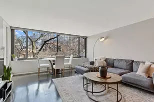 1555 N Sandburg Terrace, Chicago, IL 60610 - Photo 7