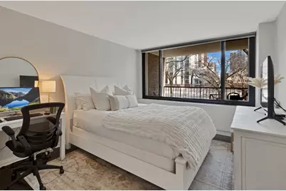 1555 N Sandburg Terrace #310K, Chicago, IL 60610 - Photo 11