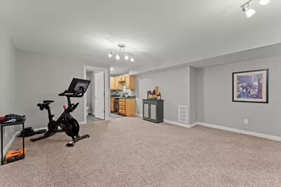 704 Hawk Drive, Mahomet, IL 61853 - Photo 49