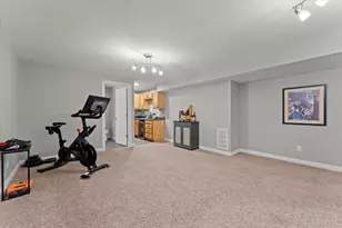 704 Hawk Dr, Mahomet, IL 61853 - Photo 49