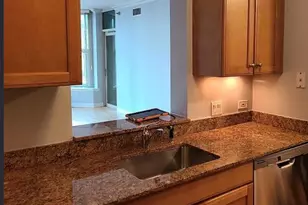 25 E Superior St, Chicago, IL 60611 - Photo 3