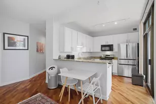 233 E 13th St, Chicago, IL 60605 - Photo 3