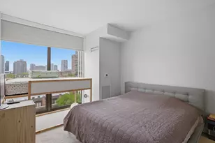 233 E 13th St, Chicago, IL 60605 - Photo 11