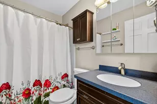854 Plains Ct, Carol Stream, IL 60188 - Photo 13