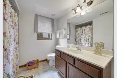 21223 Alessandra Drive, Matteson, IL 60443 - Photo 13