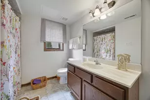 21223 Alessandra Dr, Matteson, IL 60443 - Photo 13