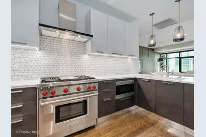668 N Kingsbury Street #206, Chicago, IL 60654 - Photo 15