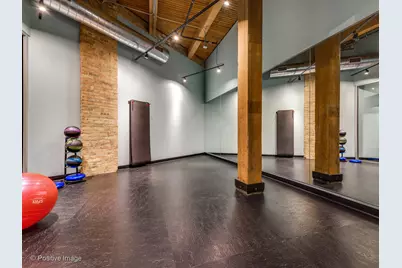 668 N Kingsbury Street #206, Chicago, IL 60654 - Photo 33