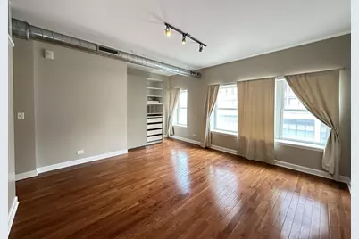 674 N Orleans Street #2, Chicago, IL 60654 - Photo 11