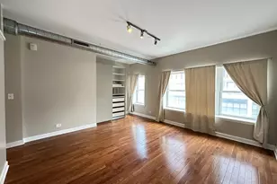674 N Orleans St, Chicago, IL 60654 - Photo 11