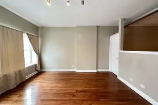 674 N Orleans St, Chicago, IL 60654 - Photo 13