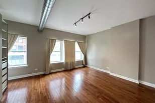 674 N Orleans St, Chicago, IL 60654 - Photo 9