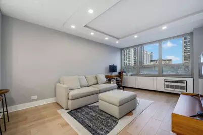 88 W Schiller Street #307L, Chicago, IL 60610 - Photo 7