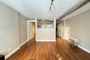 674 N Orleans St, Chicago, IL 60654 - Photo 9