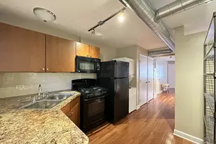 674 N Orleans St, Chicago, IL 60654 - Photo 5