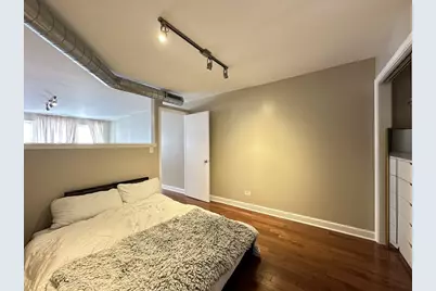 674 N Orleans Street #1, Chicago, IL 60654 - Photo 17