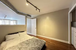 674 N Orleans St, Chicago, IL 60654 - Photo 17