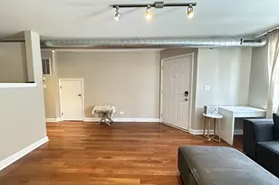 674 N Orleans St, Chicago, IL 60654 - Photo 11