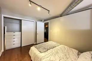 674 N Orleans St, Chicago, IL 60654 - Photo 15