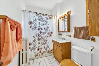 4428 S Christiana Avenue, Chicago, IL 60632 - Photo 25