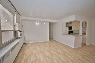3950 N Lake Shore Dr, Chicago, IL 60613 - Photo 19