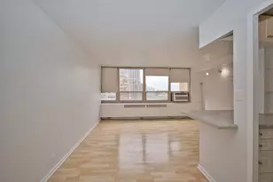 3950 N Lake Shore Dr, Chicago, IL 60613 - Photo 13