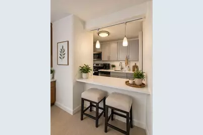 535 N Michigan Avenue #3202, Chicago, IL 60611 - Photo 3