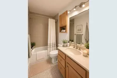 535 N Michigan Avenue #3202, Chicago, IL 60611 - Photo 5