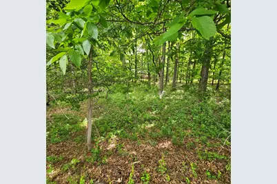 4147 Richview Road, Mt Vernon, IL 62864 - Photo 5