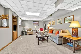 321 Bryan Dr, Cary, IL 60013 - Photo 25
