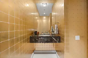 159 E Walton Pl, Chicago, IL 60611 - Photo 19