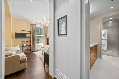 159 E Walton Place #12D, Chicago, IL 60611 - Photo 15