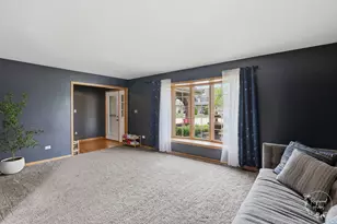 1168 Meadow Path, Manteno, IL 60950 - Photo 3