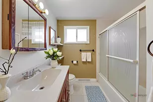 32 N Albert St, Mount Prospect, IL 60056 - Photo 11