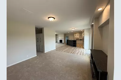 410 S Higgins Road, Mazon, IL 60444 - Photo 9