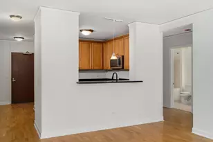 450 E Waterside Dr, Chicago, IL 60601 - Photo 7