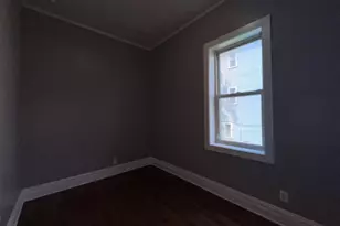4815 S Elizabeth St, Chicago, IL 60609 - Photo 29