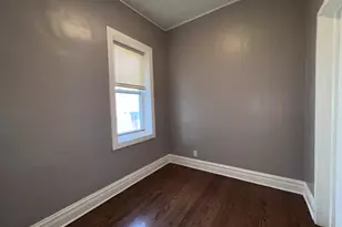4815 S Elizabeth St, Chicago, IL 60609 - Photo 21