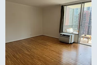 71 E Division Street #1601, Chicago, IL 60610 - Photo 9