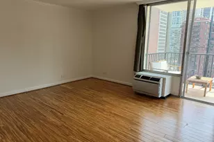 71 E Division St, Chicago, IL 60610 - Photo 9