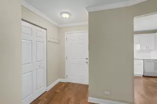 52 Brookston Dr, Schaumburg, IL 60193 - Photo 3