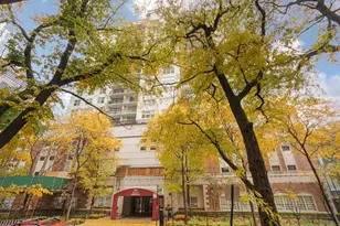 21 W Chestnut St, Chicago, IL 60610 - Photo 1