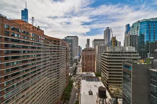 600 N Fairbanks Ct, Chicago, IL 60611 - Photo 15