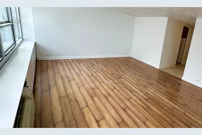 4800 S Chicago Beach Drive #1309N, Chicago, IL 60615 - Photo 5