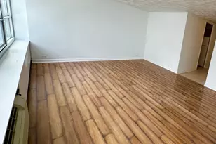 4800 S Chicago Beach Dr, Chicago, IL 60615 - Photo 5