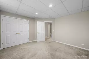 3941 Willow View Dr, Lake in the Hills, IL 60156 - Photo 47