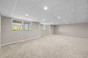 3941 Willow View Dr, Lake in the Hills, IL 60156 - Photo 41